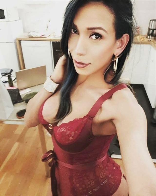 TRANS MONSTSERRAT BRASILEÑA Y MUY COMPLETA