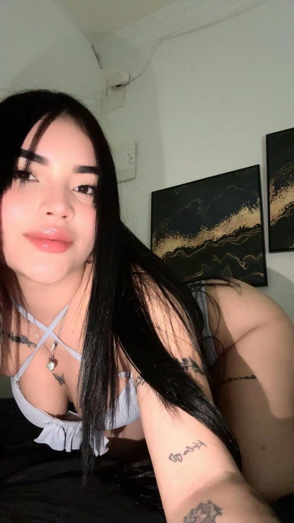 Novedad