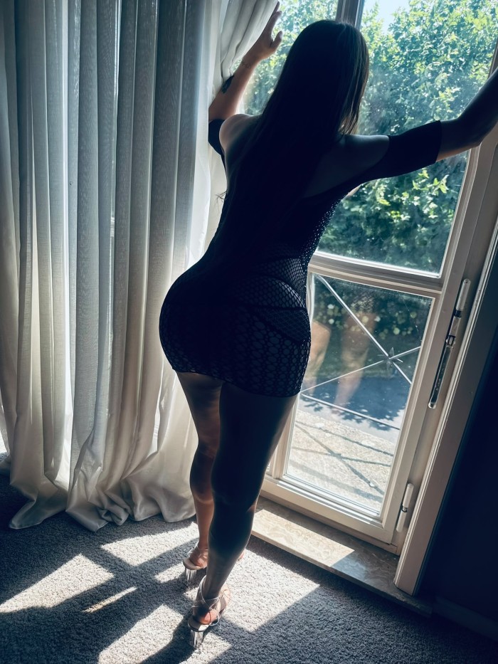 Trans latina por pocos días en tú ciudad
