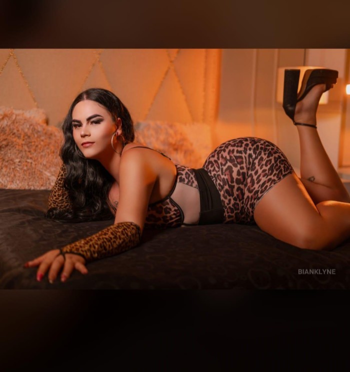 Sexo sin límites con una trans muy femenina