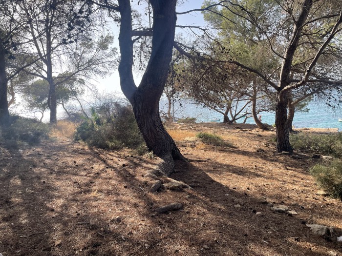 Follamos en esta cala ?