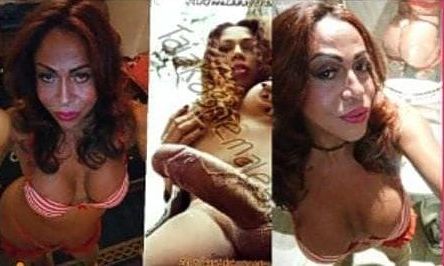 MULATA TRANS BRASILEÑA ACTIVA Y PASIVA