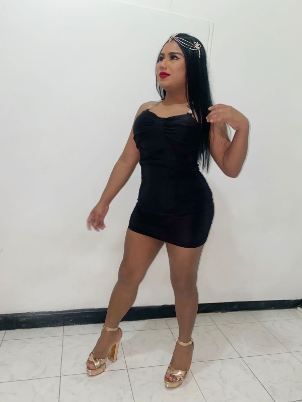 Trans. Ariadna activa pasiva