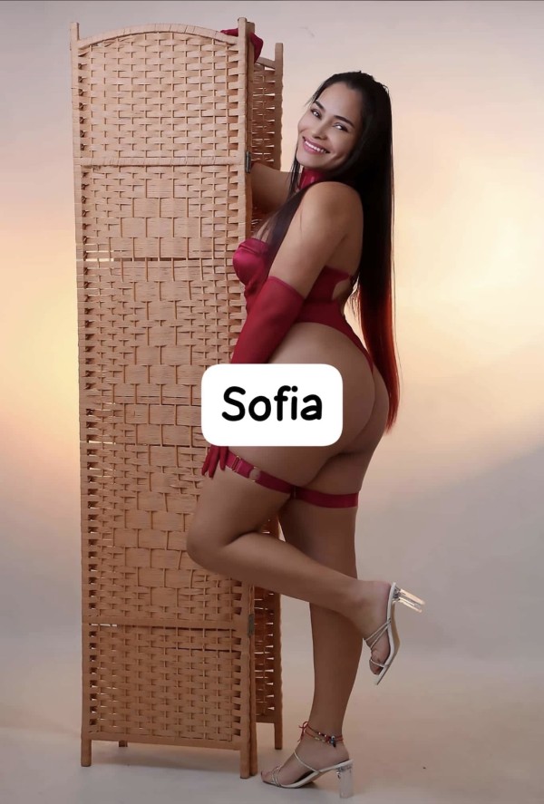 Grupo de chicas ardientes y implicadas en elche