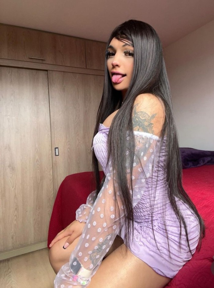 NOVEDAD CHICA TRANS FIESTERA ACTIVA PASIVA