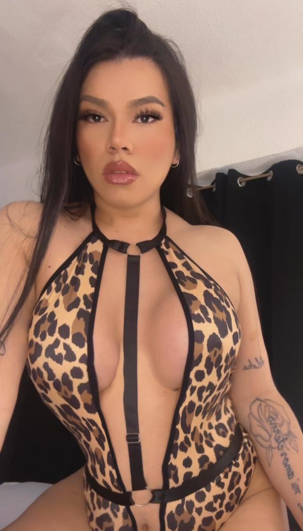 Cachonda Trans Paraguaya