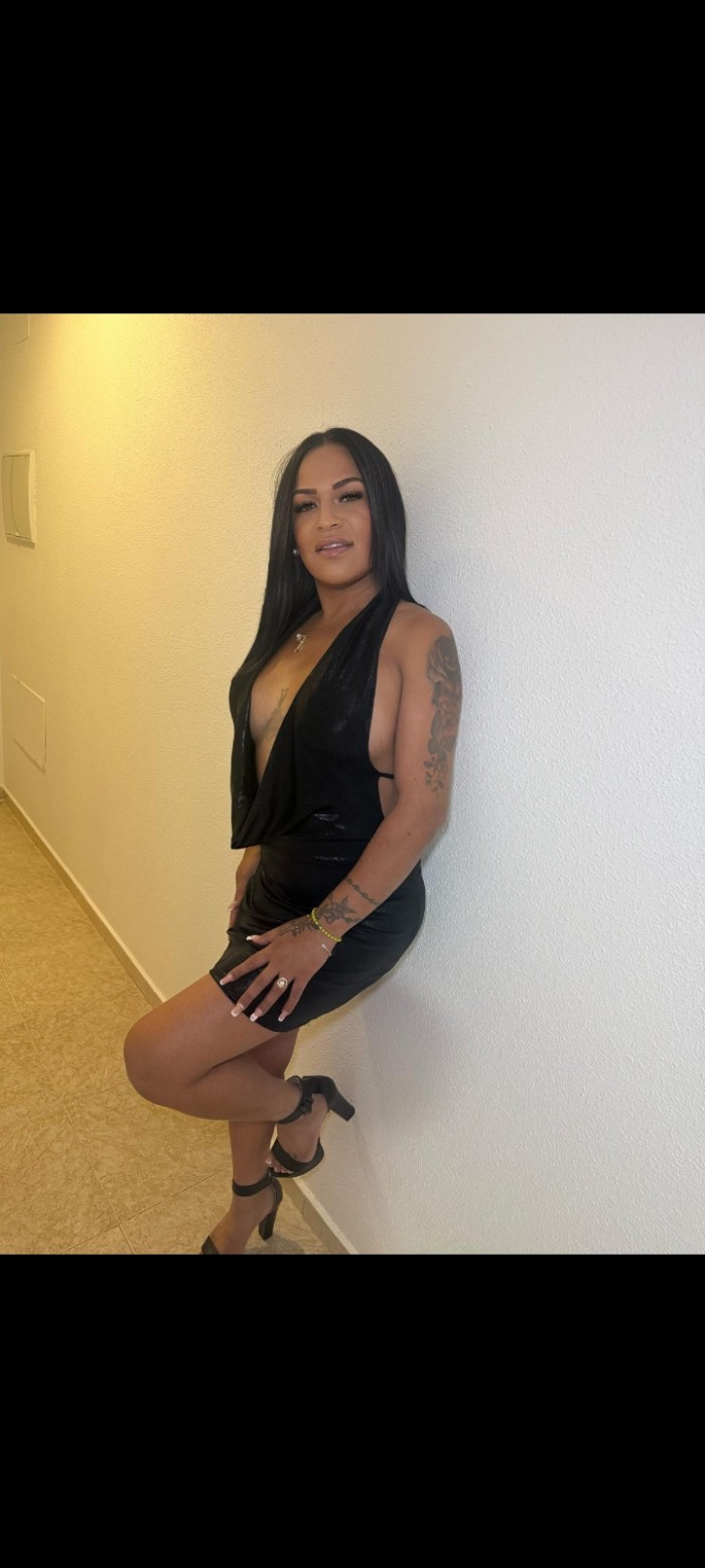 Fiestera guarra latina