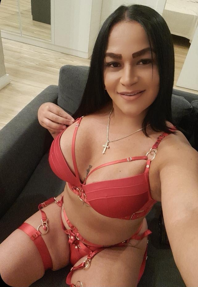 Fiestera guarra latina