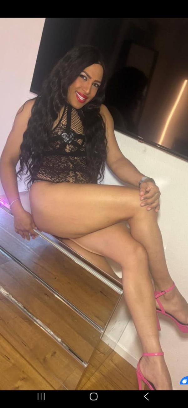 Hermosa latina nalgona subcionadora recién llegada