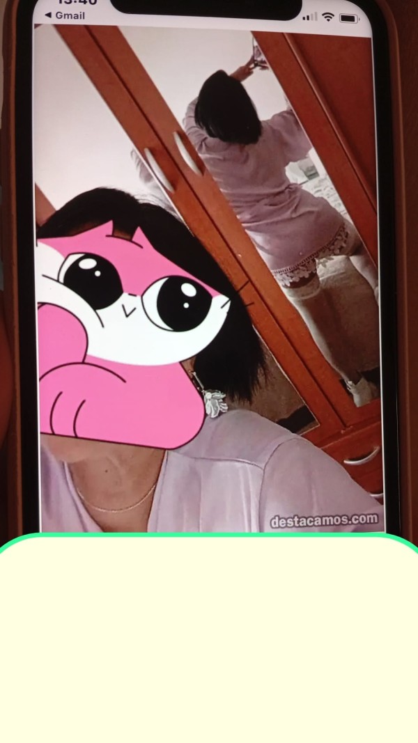 Tu compañía perfecta