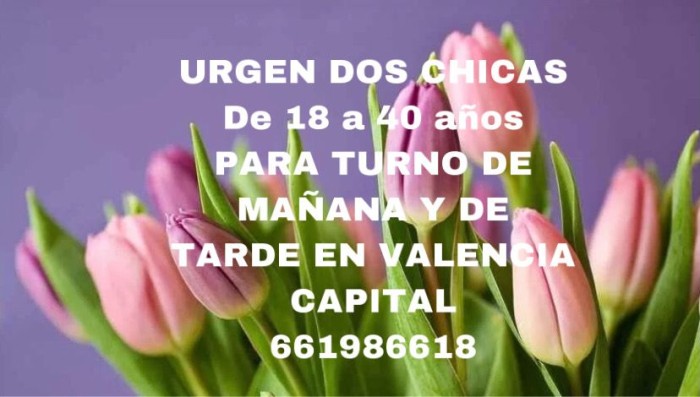 TURNO DE DIA SSSSSSSSSIN ALOJAMIENTO.