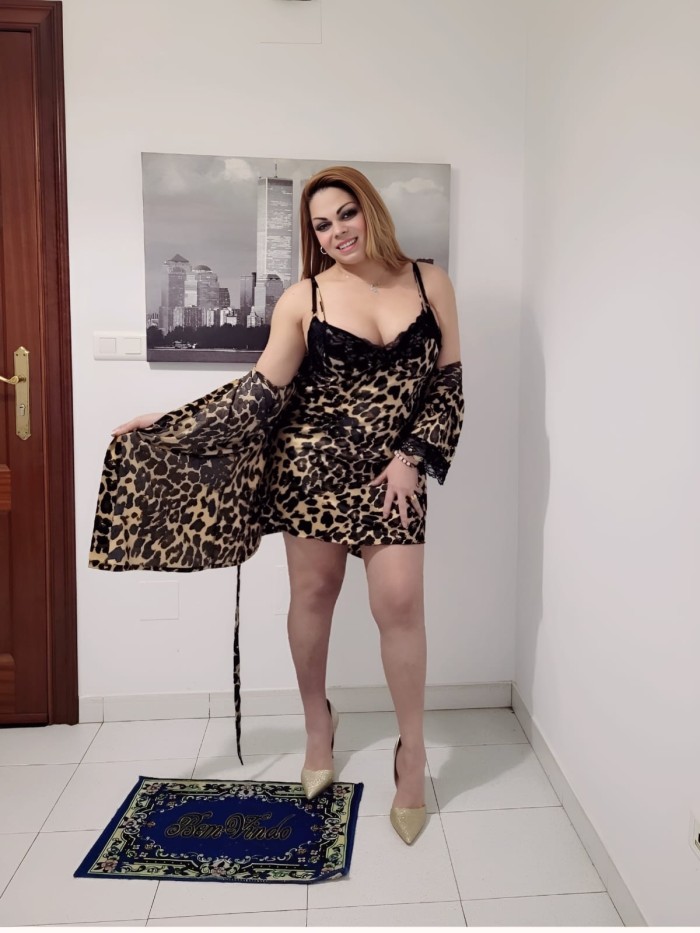 NOVEDAD EN SARRIA NAYARA TRANS COMPLETA FIESTERA COMPLACIENTE Y DISCRETA