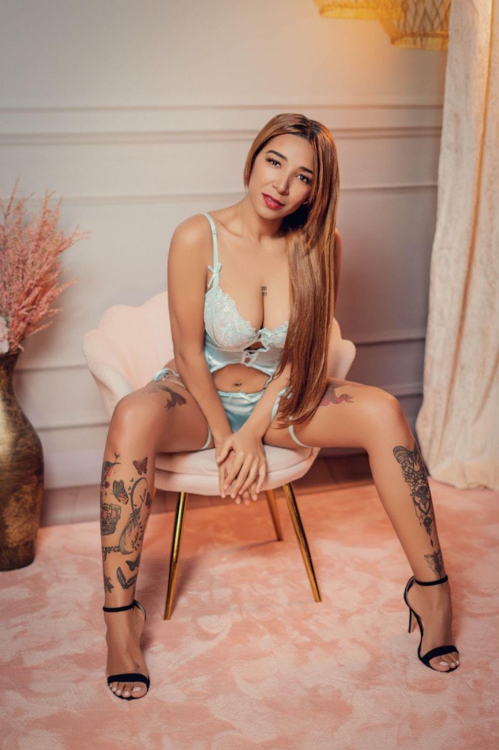 Novedad