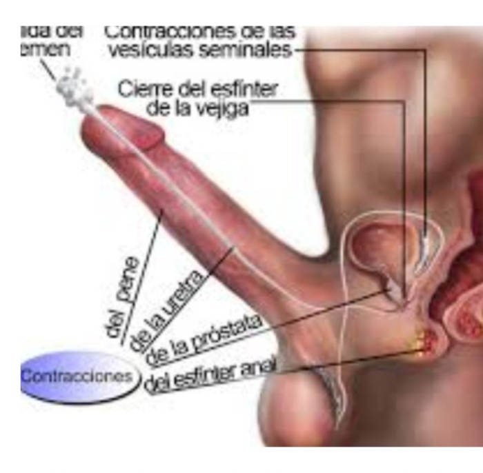 Aprende a controlar tu eyaculacion relaja tu mente