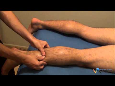 ESTETICA, MASAJES Y DEPILACIÓN GENITAL Y PERIANAL