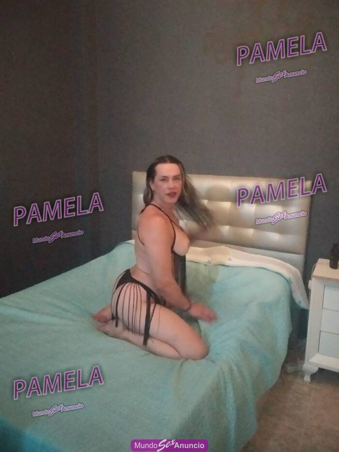 TRANS NIVEL VIP LECHERA FIESTERA MUY COMPLACIENTE