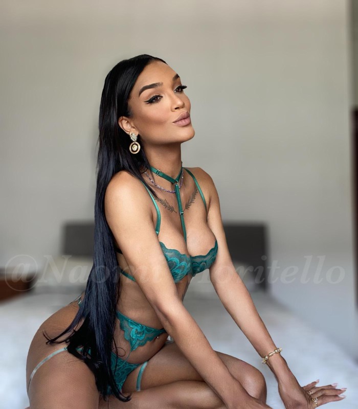 NOVEDAD BELLA MORENA TRANS TU MEJOR OPCIÓN 24H