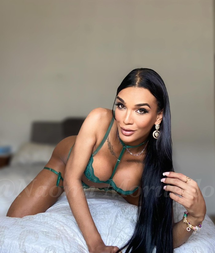 NOVEDAD BELLA MORENA TRANS TU MEJOR OPCIÓN 24H