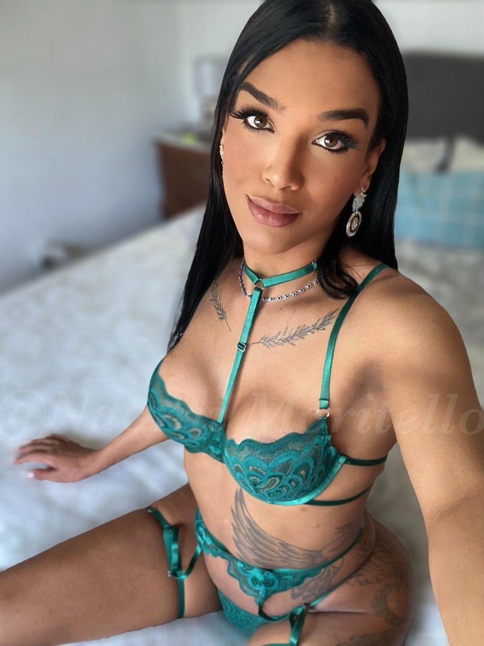 NOVEDAD BELLA MORENA TRANS TU MEJOR OPCIÓN 24H