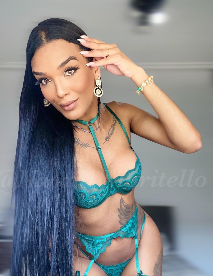 NOVEDAD BELLA MORENA TRANS TU MEJOR OPCIÓN  24H