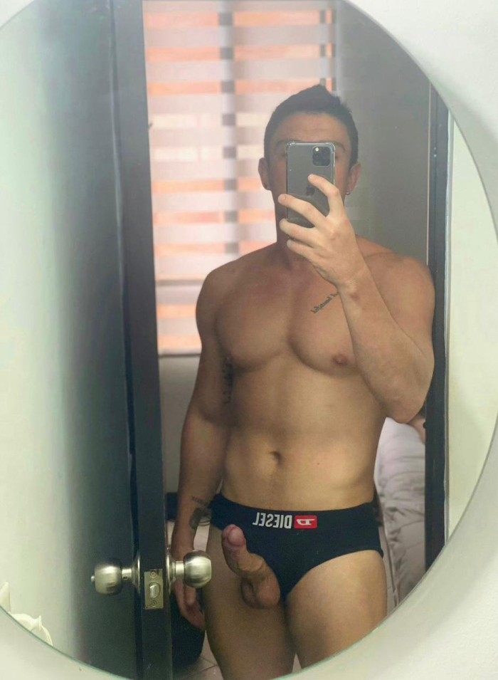 Potro cañero fiestero pollon
