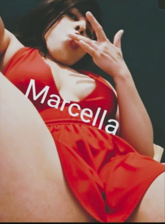 CHICA TRANS (VICIOSA, MORBOSA Y FIESTERA) ACTIVA Y PASIVA