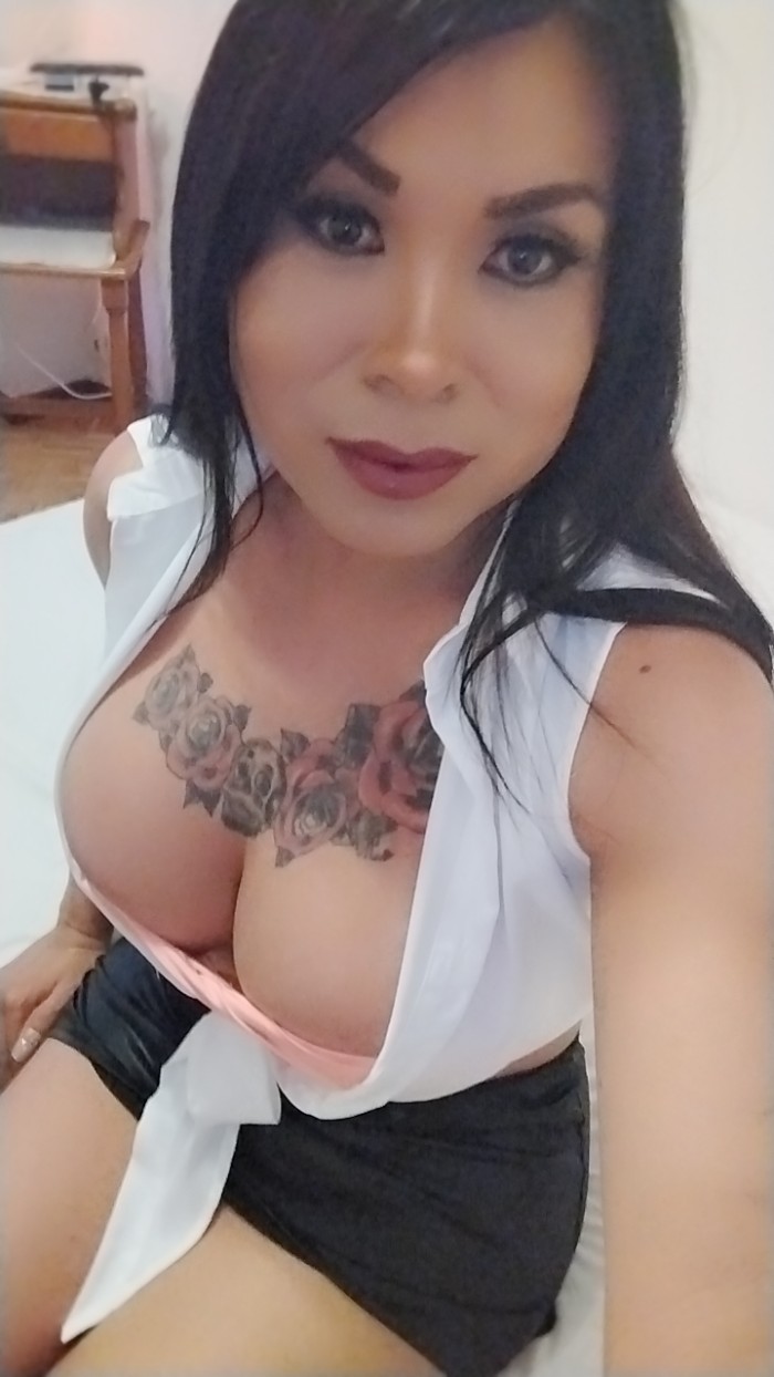 Trans latina dulce y encantadora