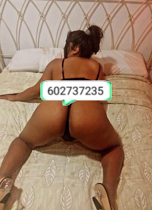 DOMINANTE TRANS GUARRA FIESTERA