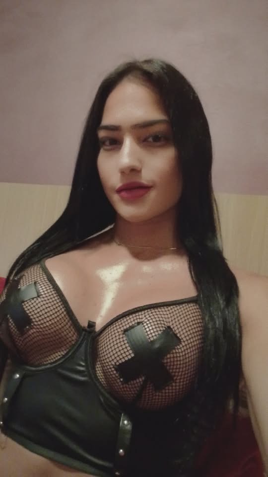 NOVEDAD TRANS FIESTERA LECHERA EN PINEDA DE MAR