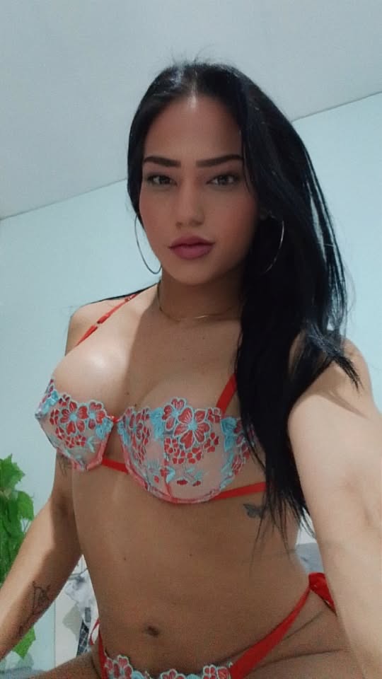 NOVEDAD TRANS FIESTERA LECHERA EN PINEDA DE MAR