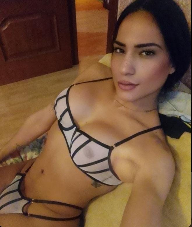 NOVEDAD TRANS FIESTERA LECHERA EN PINEDA DE MAR