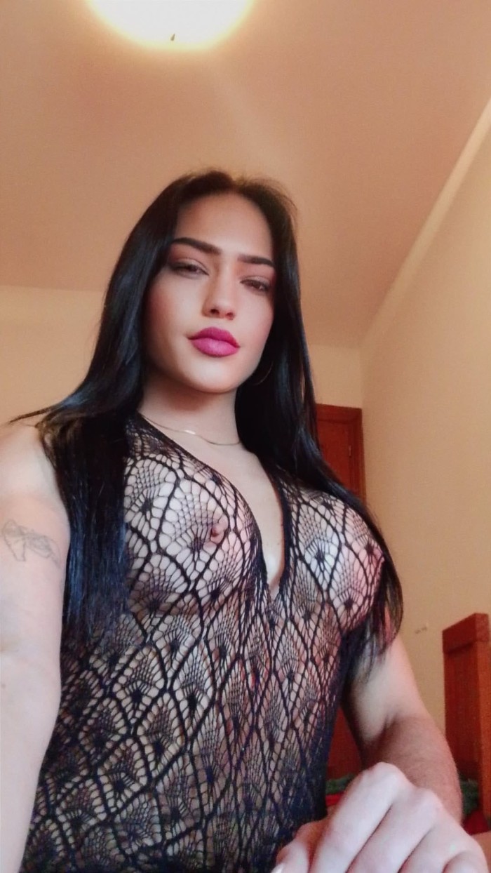 NOVEDAD TRANS FIESTERA LECHERA EN PINEDA DE MAR