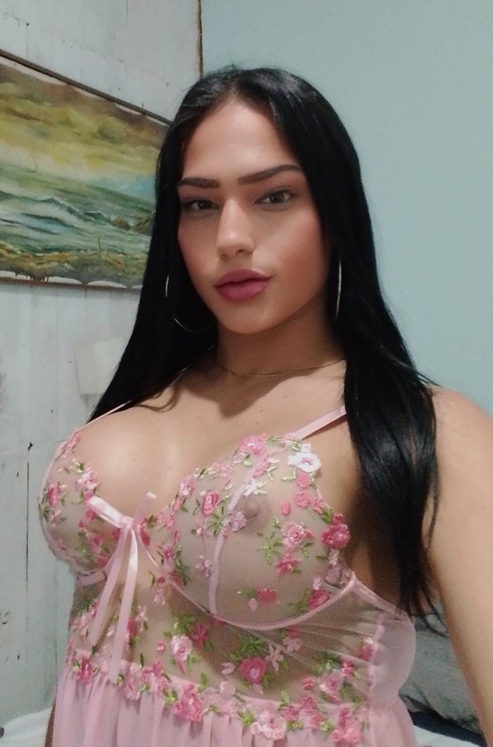 NOVEDAD TRANS FIESTERA LECHERA EN PINEDA DE MAR