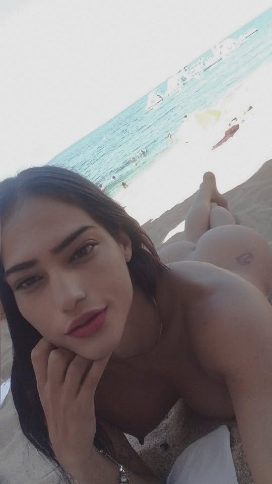 NOVEDAD TRANS FIESTERA LECHERA EN PINEDA DE MAR