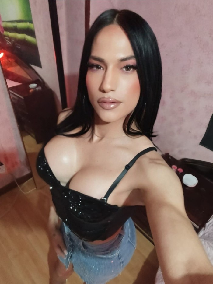 NOVEDAD TRANS FIESTERA LECHERA EN PINEDA DE MAR