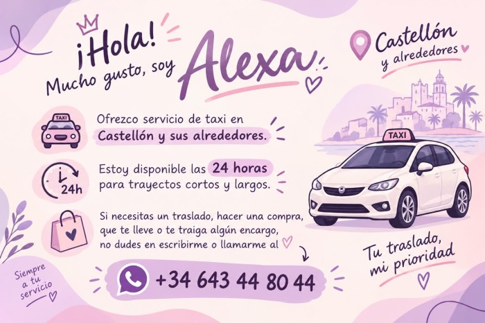 SERVICIOS DE TAXIS EN CASTELLÓN DE LA PLANA