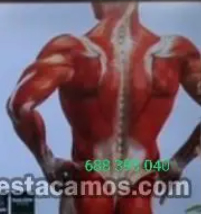 MASAJES PROFESIONALES ESPALDA Y PIERNAS