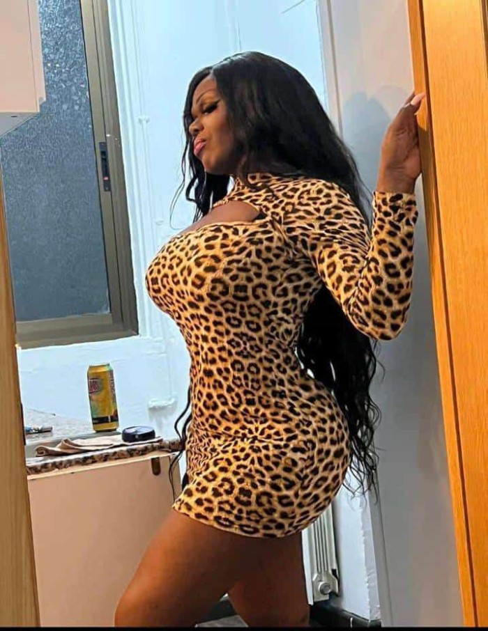VITORIA TRANS COLOMBIANA PARA GOZAR SIN LIMITE
