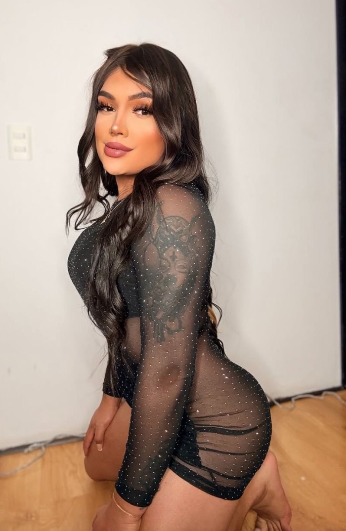 CHICA TRANS POLLONA ARDIENTE MUY COMPLETA