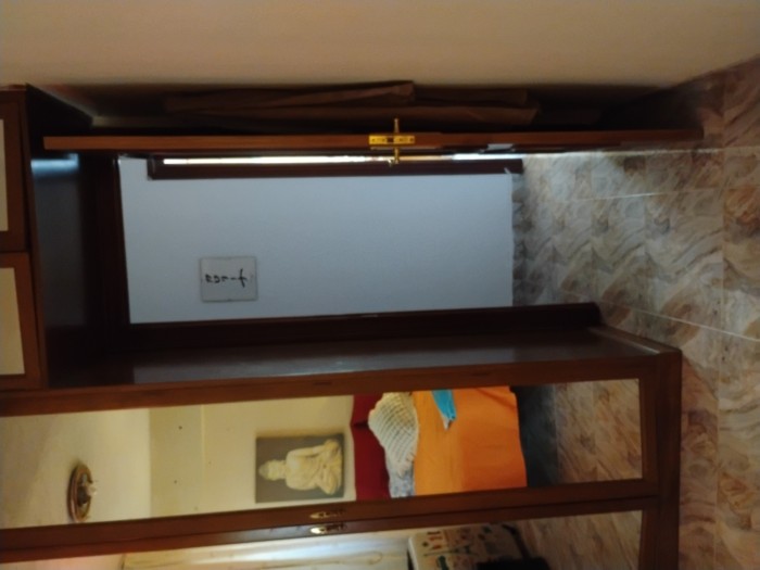 Alquilo habitación