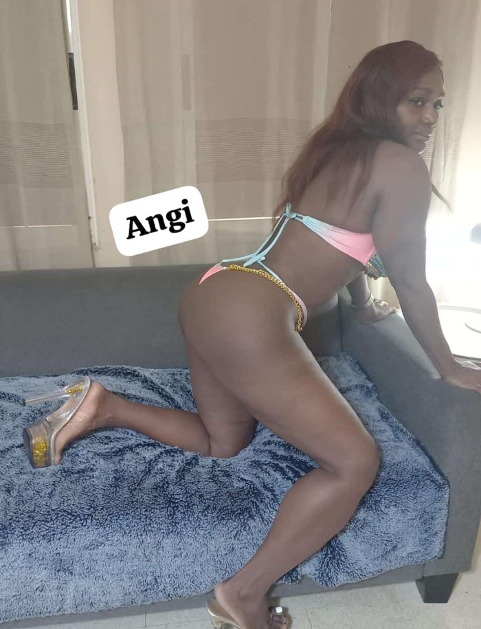 Nuevas scort jóvenes y sensuales salidas dentro y fuera de elche y