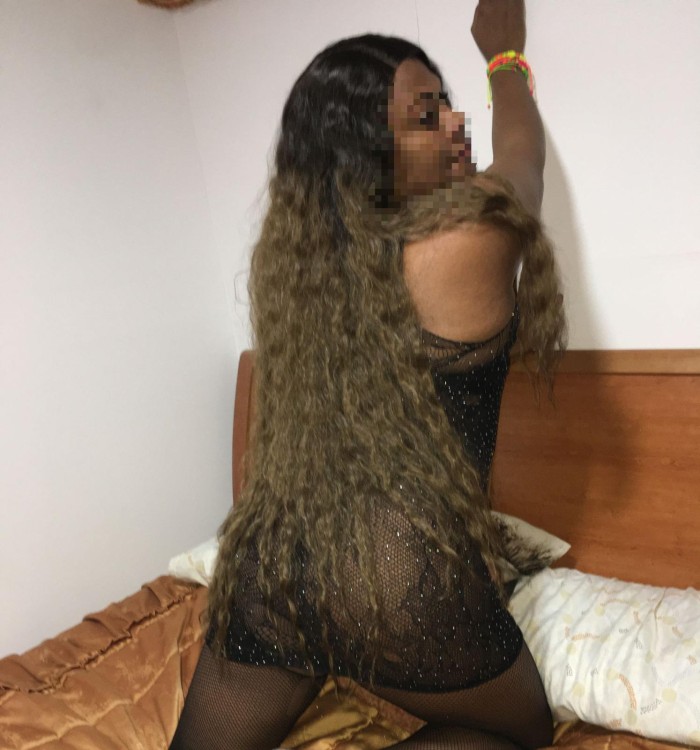 GIRONA SALT TRANS FIESTERA NOVEDAD ARDIENTE