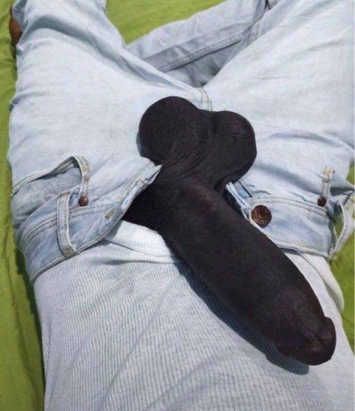 DONDE ESTA LAS POLLAS NEGRAS