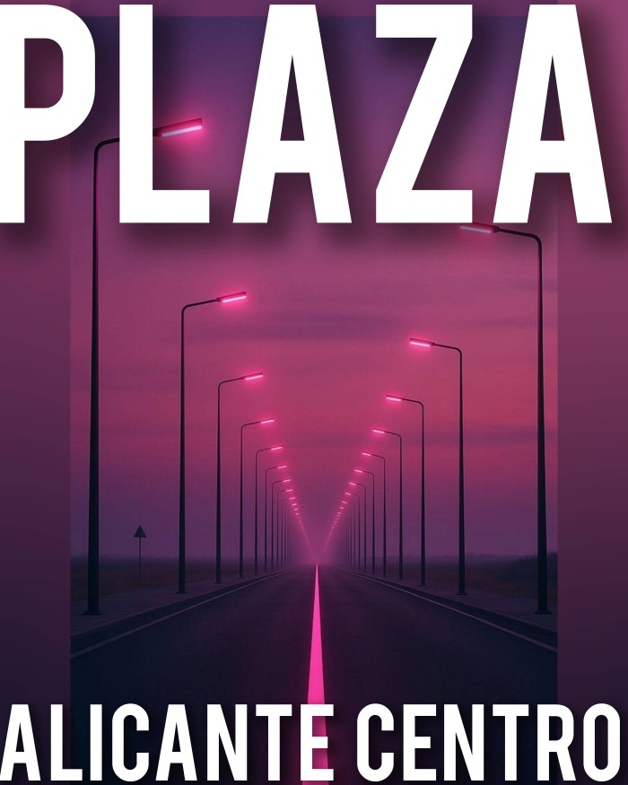 ALICANTE CENTRO PLAZA BUENA INGRESOS ALTOS