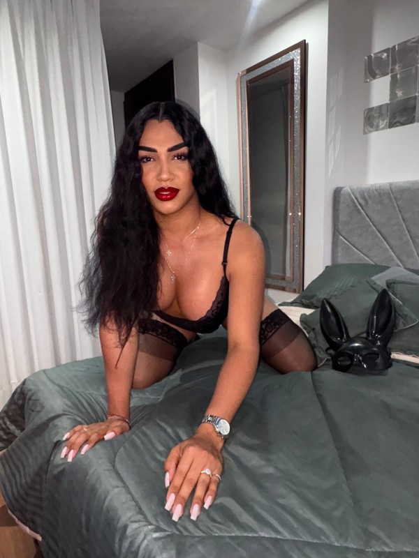 TRANS ESPECTACULAR, ALTA Y HERMOSA