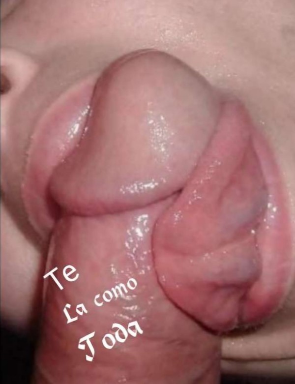 FIESTERA EN SIETE PALMAS QUIERO SEXO INTENSO