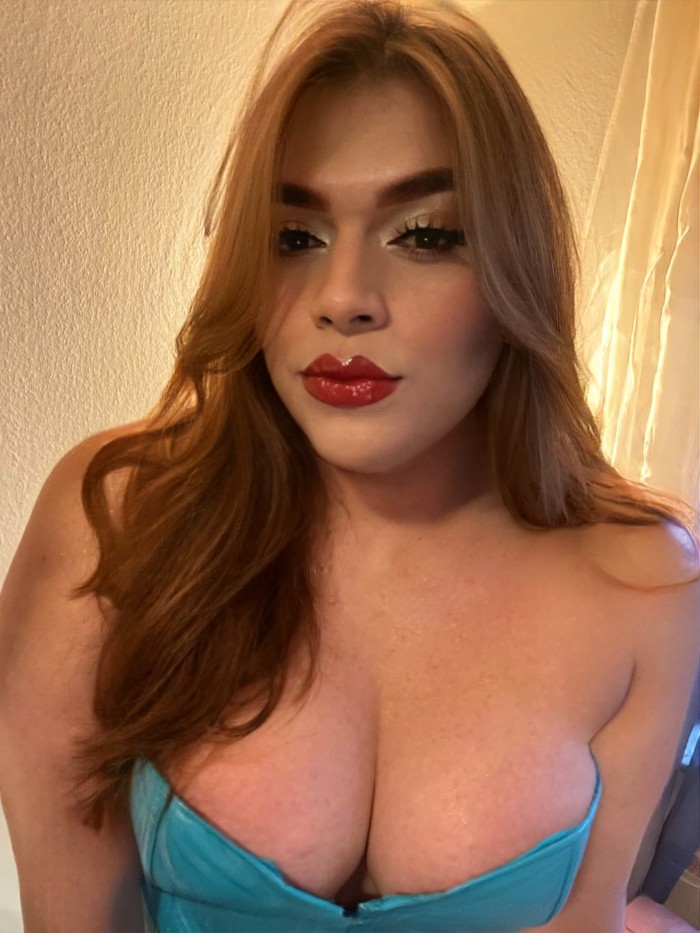 FIESTERA LATINA CURVY