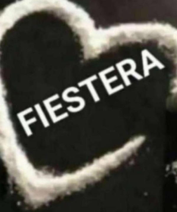 NOVEDAD CHICA TRANS 100% VERSATIL FIESTERA VICIOSA