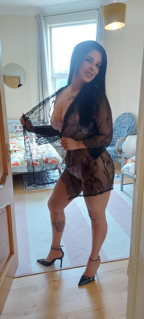 Novedad latina
