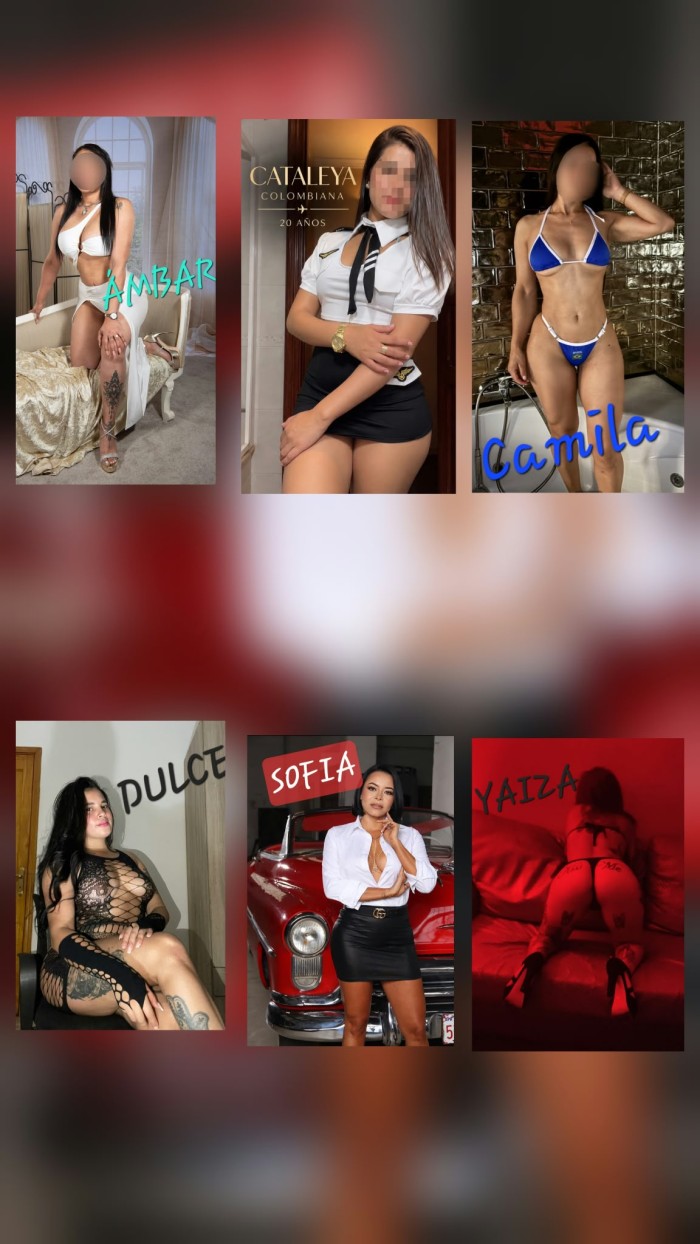 FIESTERAS MUY CACHONDAS RECIÉN LLEGADITAS AMOR 24HRS ALCARAVANERAS